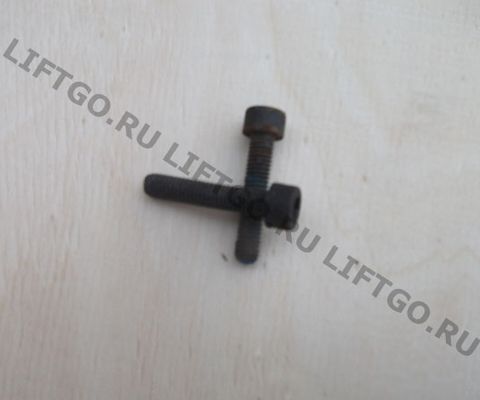 Винт крепления паллеты траволатора Canny, Schindler, XIZI OTIS